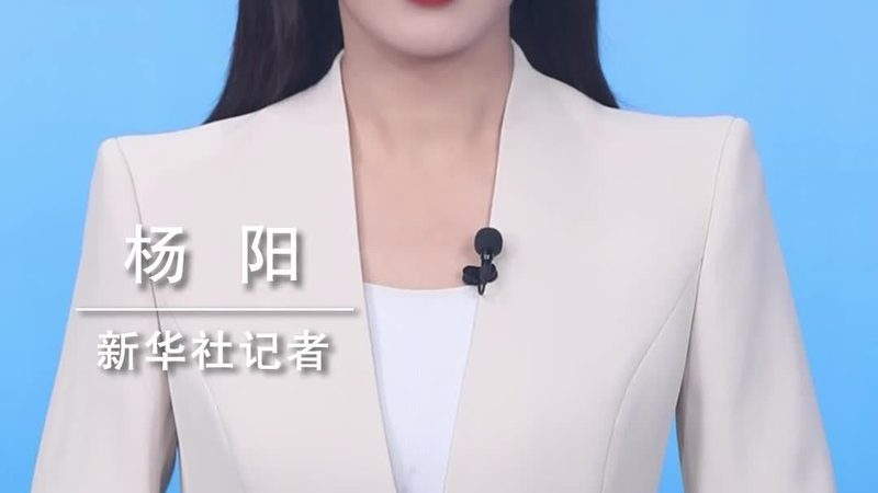 企业数字化安全风险评估：流程与标准解析**